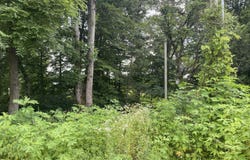 Lt 43 Huckleberry Drive, Science Hill, KY 42553