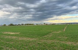 TBD Lot 1 4200 E, Rigby, ID 83442