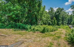 7701 LEWINSVILLE RD, MCLEAN, VA 22102