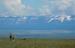 Dmb-61&62 Lookout Point Road, Shawmut, MT 59078
