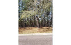 543 W Pleasant Colony Drive, Aiken, SC 29803