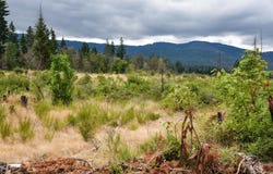 40111 SE Fairview St, Outside City Limits, OR 97360