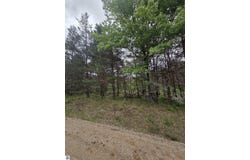 County Line Road, Kingsley, MI 49649