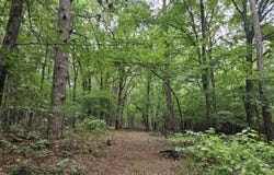 160 Acres America Road, Morrilton, AR 72110