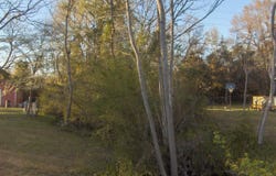 0 Georgia Avenue, Barnwell, SC 29812
