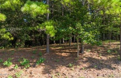 455 Broken Ridge Trail, West End, NC 27376
