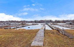 11846 W Lookout Drive, Monticello, IN 47960
