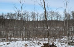 ON Forest Drive E, Ogema, WI 54459
