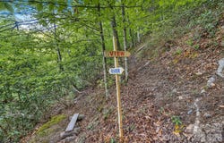 31 Caddis Court, Marshall, NC 28753
