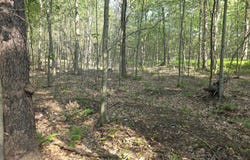 Lot #2 PA- 370, Poyntelle, PA 18454