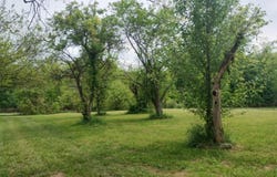11 N Camelot North Way, North Vernon, IN 47265