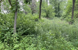 30933 Slow Lane, Lone Rock, WI 53556