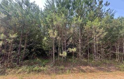 0 VALLEY ROAD, GOODWATER, AL 35072