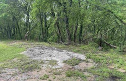 Lot 9 Adams Street, Cherokee, AL 35616