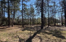 593 Ayers, Jamestown, LA 71045