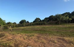 Carr. 306,Km. 1.6 BO. PARÍS, LAJAS, 00667