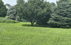 806 Jones Street, Walnut, IA 51577