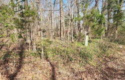 W Lakeshore Drive, Cherokee Village, AR 72529