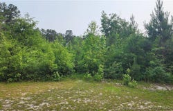 398 Dogwood Trail, Lumber Bridge, NC 28371