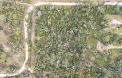114TH CIR, Live Oak, FL 32060