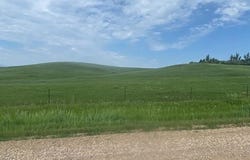 TBD Bear Butte Road, Whitewood, SD 57793