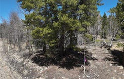 0 BEAVER RIDGE ROAD, Fairplay, CO 80440