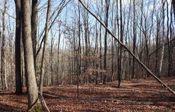 423 Hadley Rd, Stony Creek, NY 12878