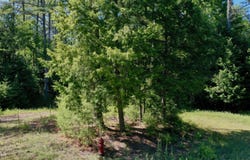 49 The Woods, Johnsburg, NY 12853