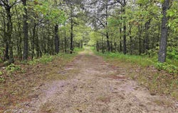 1117 14th Court, Arkdale, WI 54613