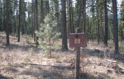6339 S CORMORANT CT, Harrison, ID 83833