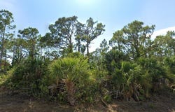 9565 LITTLE ROCK STREET, PORT CHARLOTTE, FL 33981