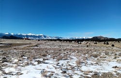 567 Trails End Court, Cotopaxi, CO 81223