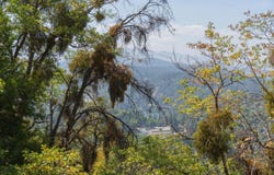 0 Chillon Drive, Crestline, CA 92325