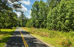 1 Mcalhany Road, Branchville, SC 29432