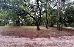 3833 FERN GULLY COVE, WINTER PARK, FL 32792