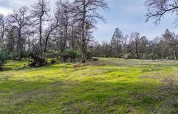 033 Soleado Lane, Redding, CA 96001