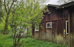 210 State Route 79, Richford, NY 13835