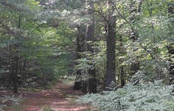 V/L Wallaker Road, Benzonia, MI 49617