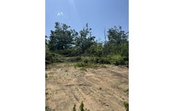 6605 Catalina Trail, Gaylord, MI 49735