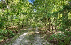 000 S 52nd Road, Humansville, MO 65674