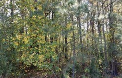 00 INDUSTRAIL DRIVE, MILFORD, VA 22514