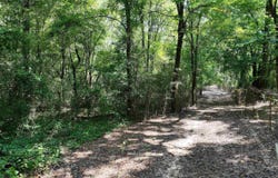 XXX HWY 70, Newhope, AR 71950