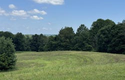 0 Newark Road, Solsberry, IN 47459