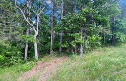TBD Tract 1 County 13, Nevis, MN 56467
