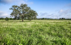 Tract 2 South Nassau Road, Round Top, TX 78954