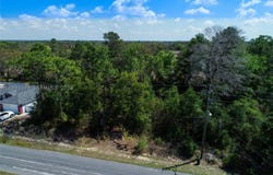 TOMAHAWK AVE, Spring Hill, FL 34606