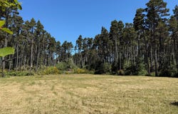 87219 BEACH LN, Bandon, OR 97411