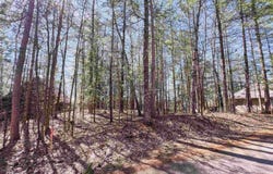 E WHEELER Lane, LAKEWOOD, WI 54138