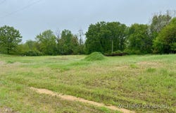 Parcel 1 Leaf Lane, Freeport, MI 49325