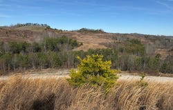 2285 Ky. Rt. 3387, Stambaugh, KY 41257